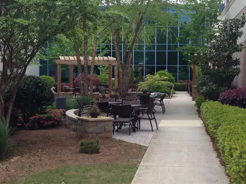 Courtyard patio and timber pergola beside a glass-fronted building