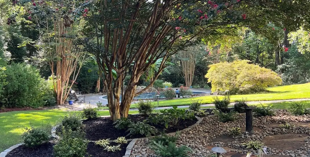 Crape myrtle in a mulched bed beside a river-rock garden with stepping stones and stone edging