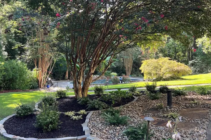 Crape myrtle in a mulched bed beside a river-rock garden with stepping stones and stone edging