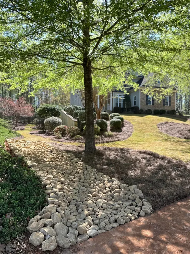 Rock-lined drainage channel through a planted landscape