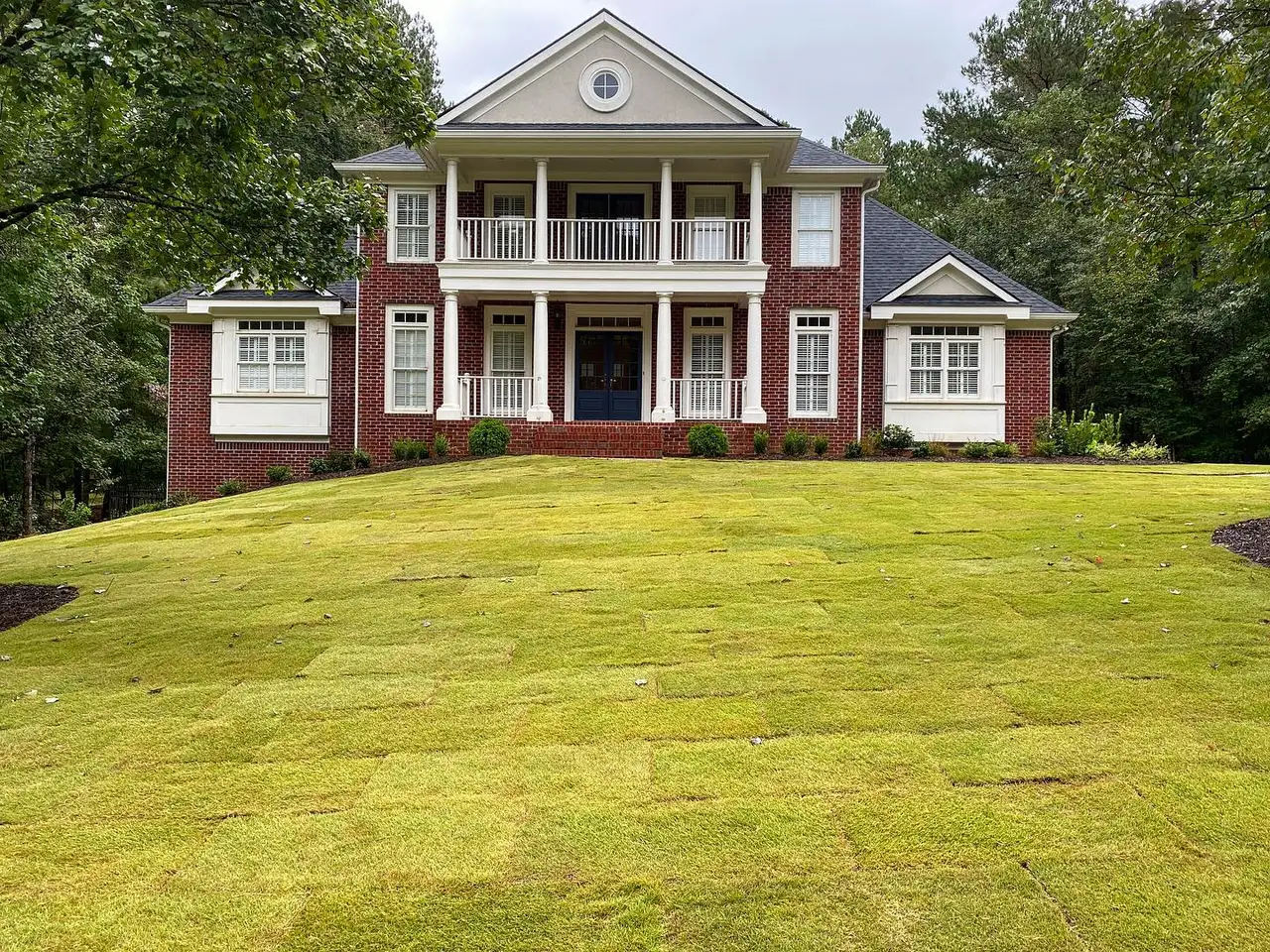 Healthy sod lawn at an All South project