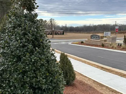 Magnolia and evergreen plantings along a new subdivision entrance road and sidewalk