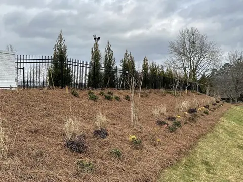 Newly planted shrub bed edged in pine straw beside a lawn at a subdivision entrance