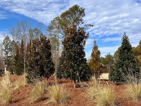 Ornamental grasses and evergreens in a mulched bed at a community entrance