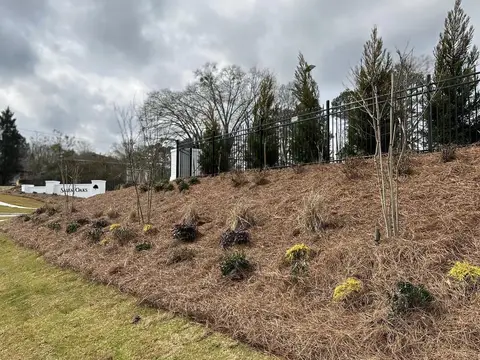 Pine-straw planting bed and sod along a community entrance slope