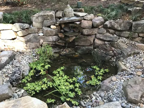 Small waterfall pond with boulders and aquatic plants