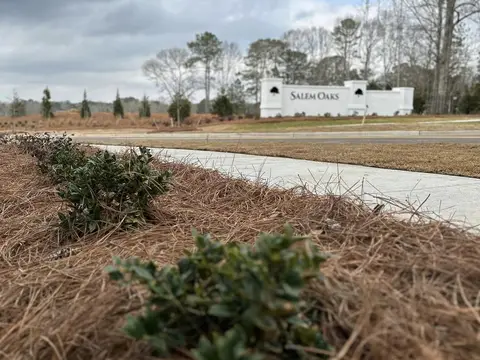 Subdivision entrance sign beyond a new pine-straw bed and concrete path