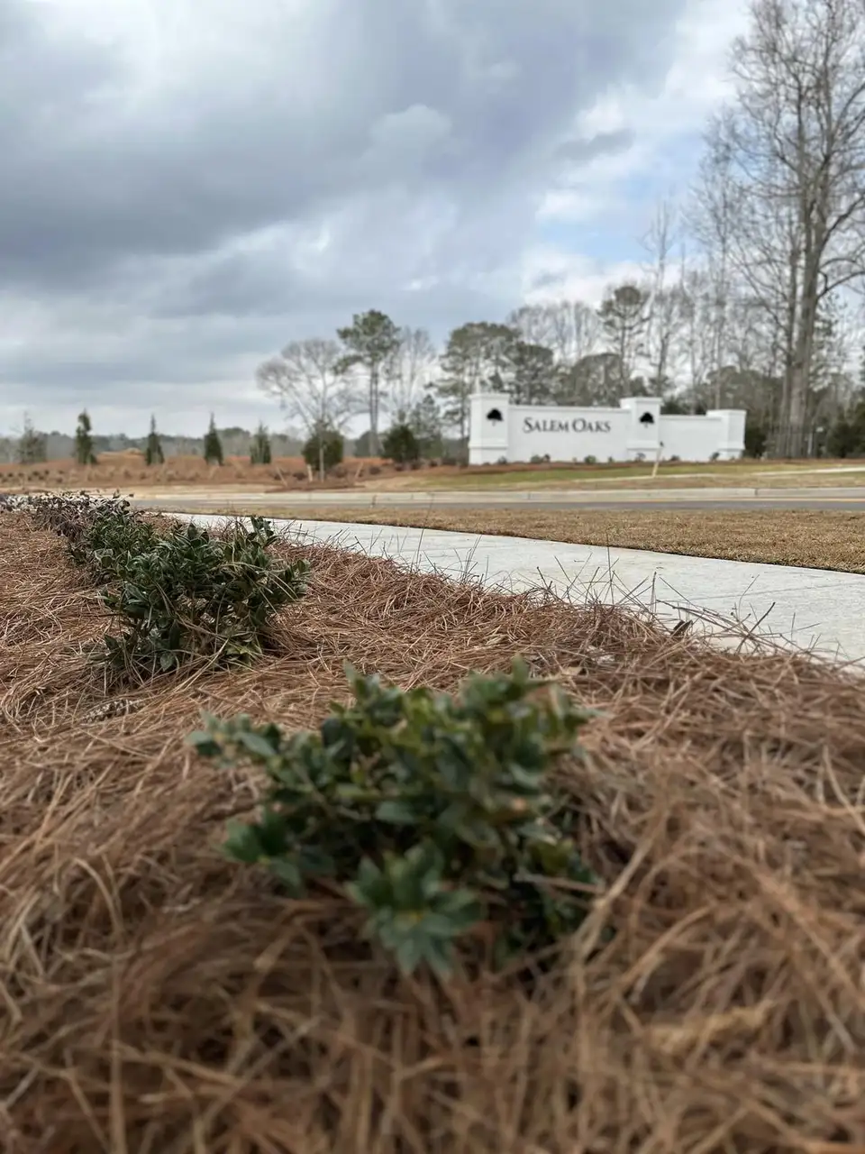 Subdivision entrance sign beyond a new pine-straw bed and concrete path